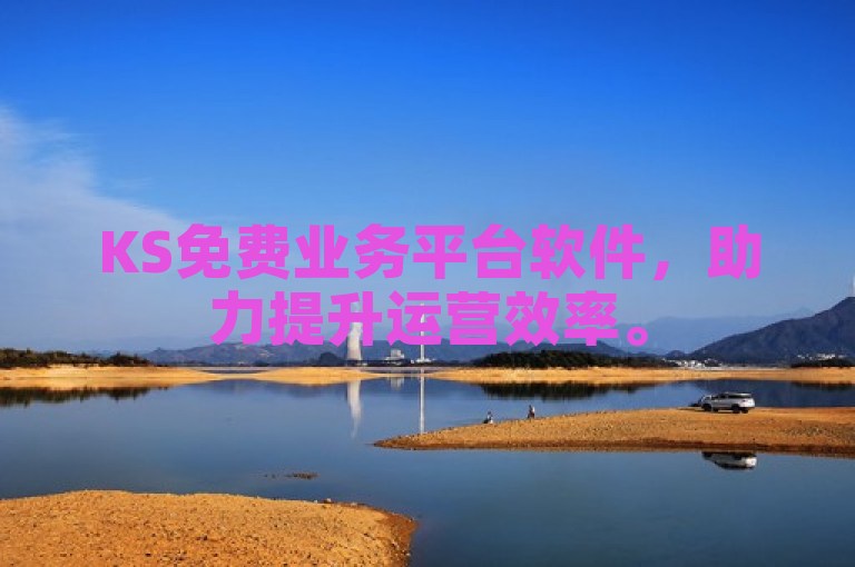 KS免费业务平台软件，助力提升运营效率。