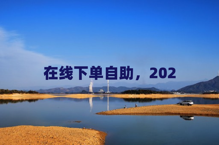 在线下单自助，2025必备技能，一键便捷，轻松掌握！