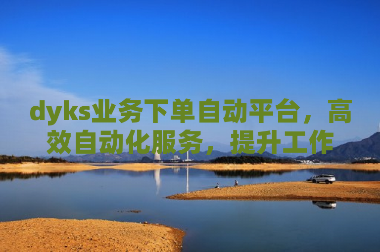 dyks业务下单自动平台，高效自动化服务，提升工作效率。