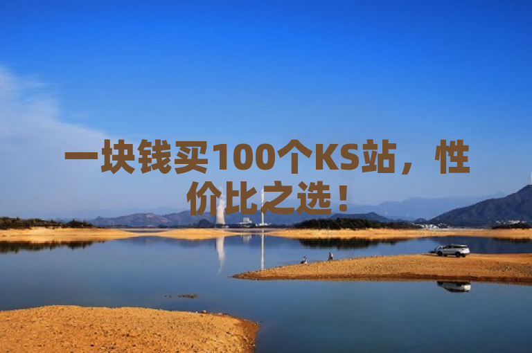 一块钱买100个KS站，性价比之选！