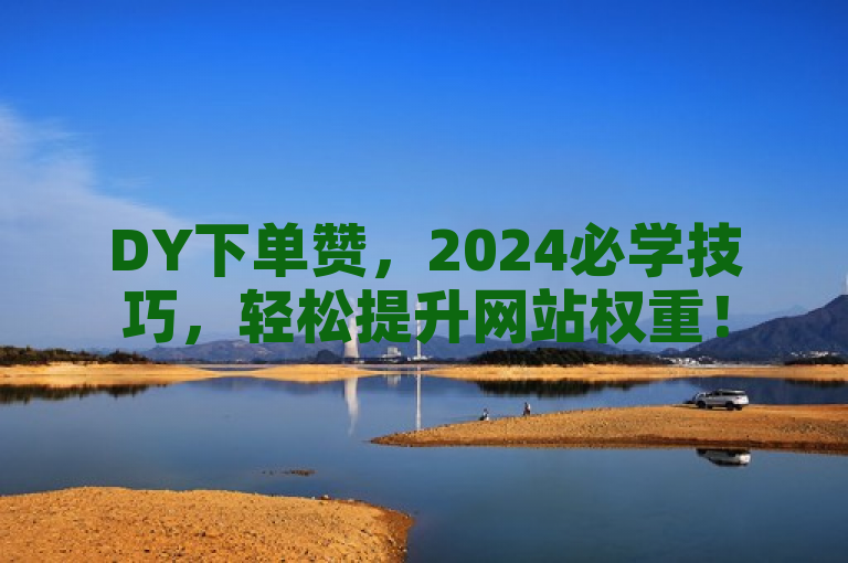 DY下单赞，2024必学技巧，轻松提升网站权重！