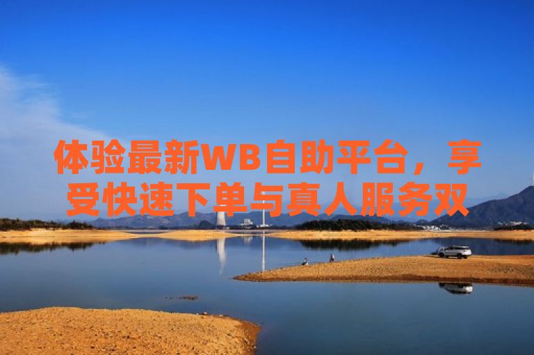 体验最新WB自助平台，享受快速下单与真人服务双重优势！
