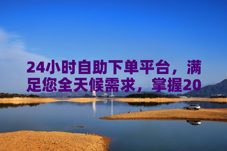 24小时自助下单平台，满足您全天候需求，掌握2025新技能！