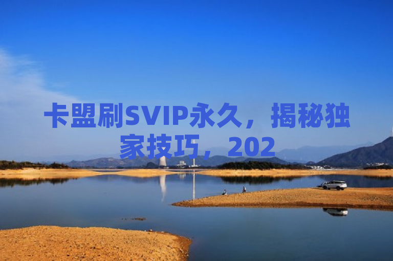卡盟刷SVIP永久，揭秘独家技巧，2025必备会员权益攻略！