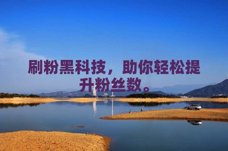 刷粉黑科技，助你轻松提升粉丝数。