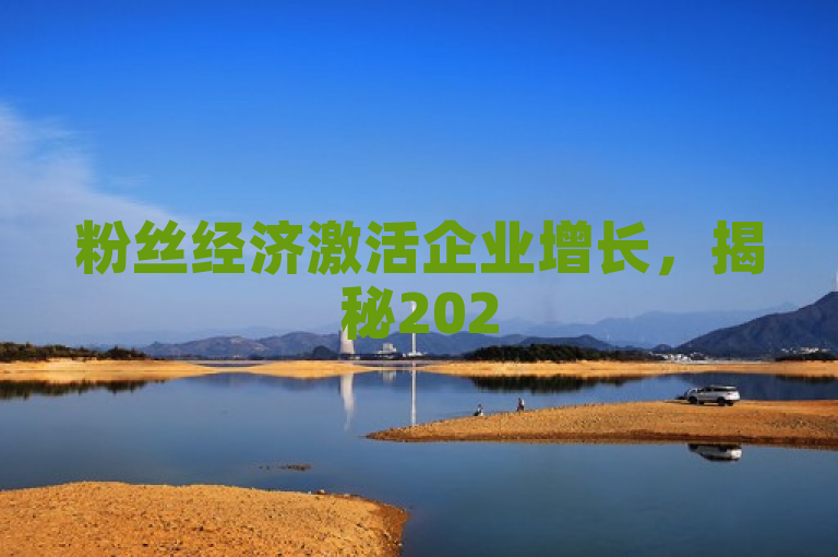 粉丝经济激活企业增长，揭秘2025必学策略！