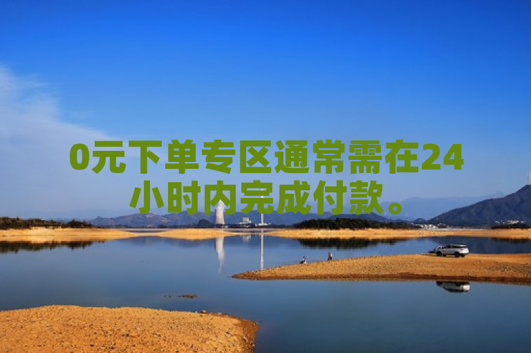 0元下单专区通常需在24小时内完成付款。