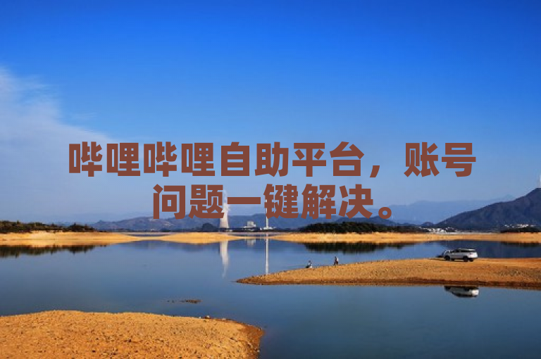 哔哩哔哩自助平台，账号问题一键解决。