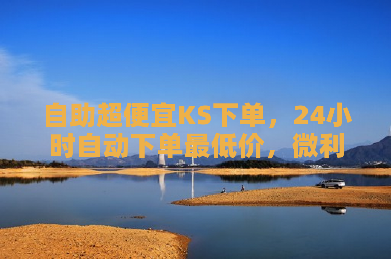 自助超便宜KS下单，24小时自动下单最低价，微利也疯狂！