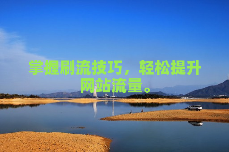 掌握刷流技巧，轻松提升网站流量。