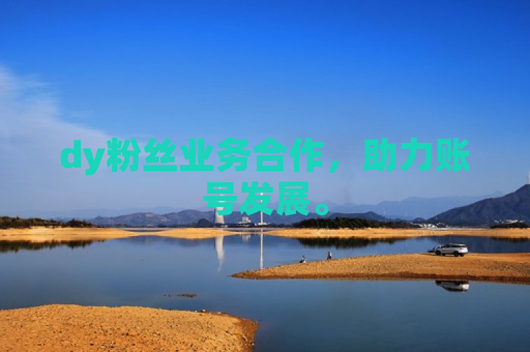 dy粉丝业务合作，助力账号发展。