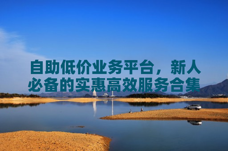 自助低价业务平台，新人必备的实惠高效服务合集！
