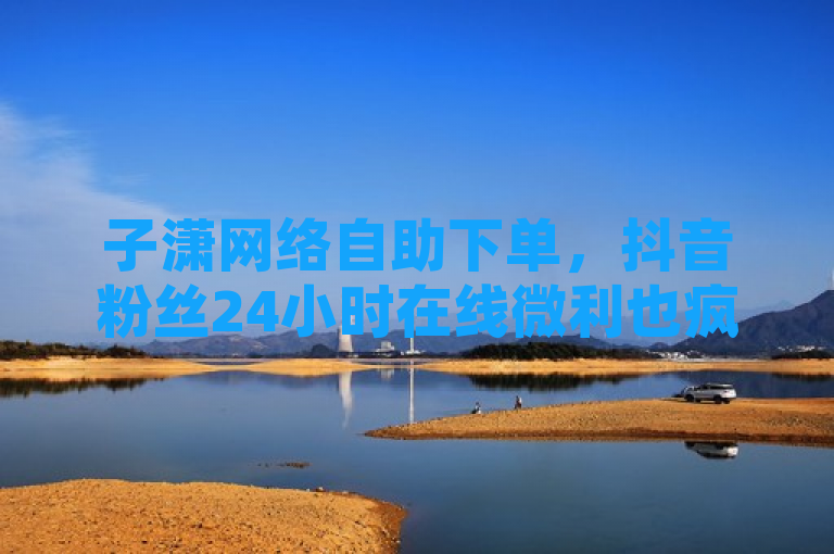 子潇网络自助下单，抖音粉丝24小时在线微利也疯狂！