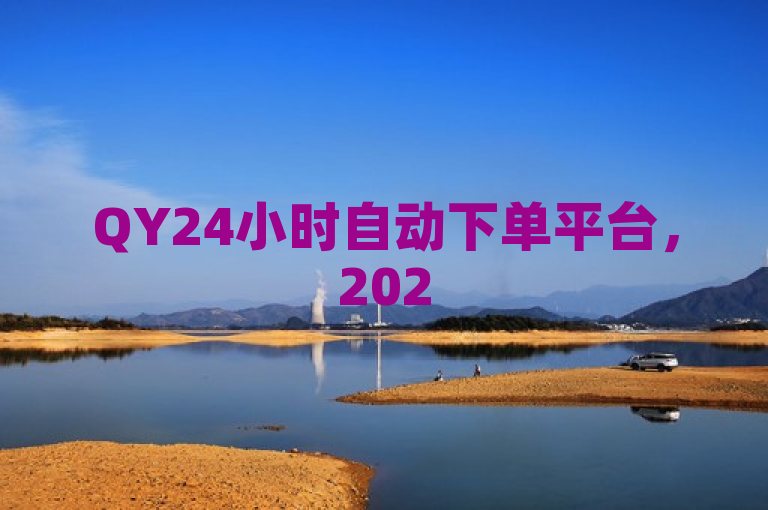 QY24小时自动下单平台，2025必学的在线自动下单服务！