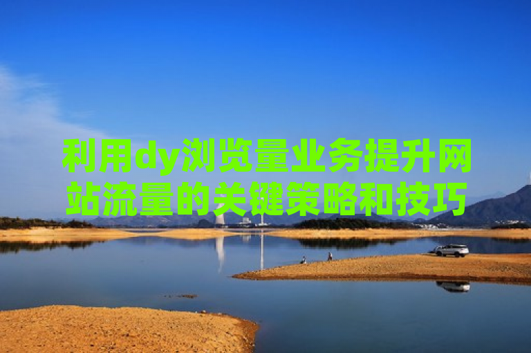 利用dy浏览量业务提升网站流量的关键策略和技巧