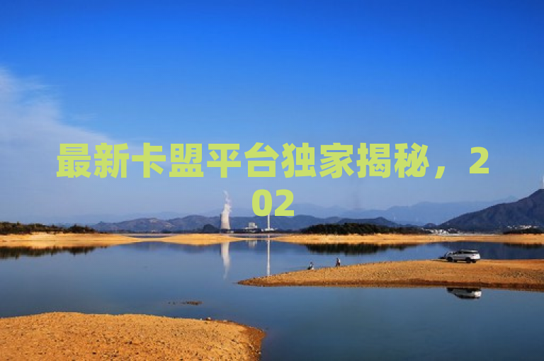 最新卡盟平台独家揭秘，2025必学优化计划，重塑网站排名！