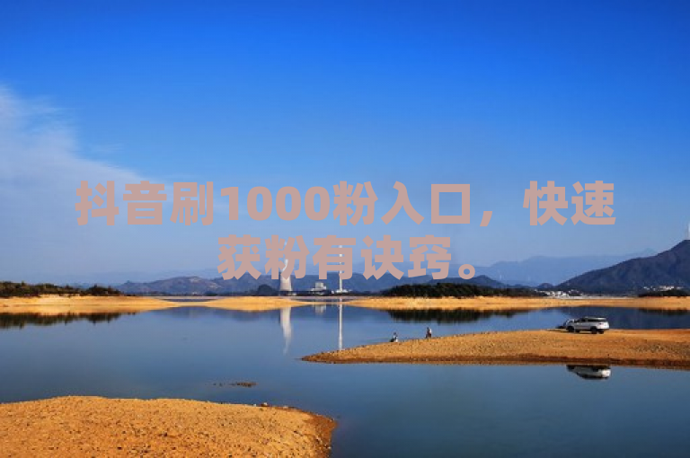 抖音刷1000粉入口，快速获粉有诀窍。