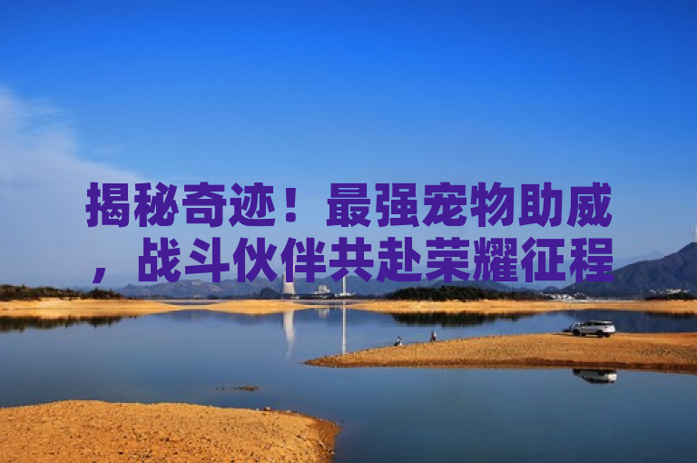 揭秘奇迹！最强宠物助威，战斗伙伴共赴荣耀征程。