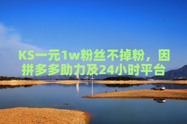 KS一元1w粉丝不掉粉，因拼多多助力及24小时平台保障。
