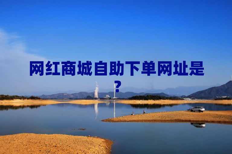 网红商城自助下单网址是？