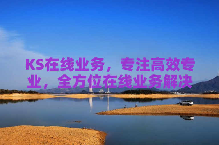 KS在线业务，专注高效专业，全方位在线业务解决方案。