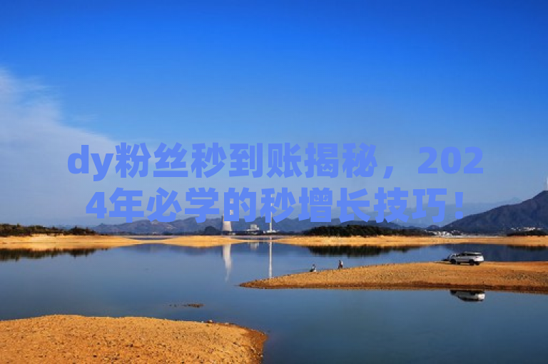 dy粉丝秒到账揭秘，2024年必学的秒增长技巧！