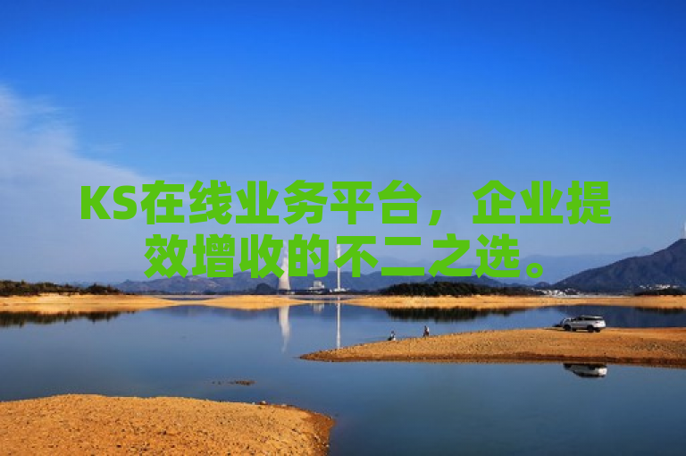 KS在线业务平台，企业提效增收的不二之选。