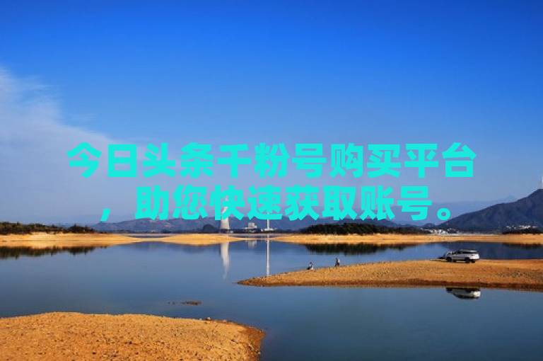 今日头条千粉号购买平台，助您快速获取账号。