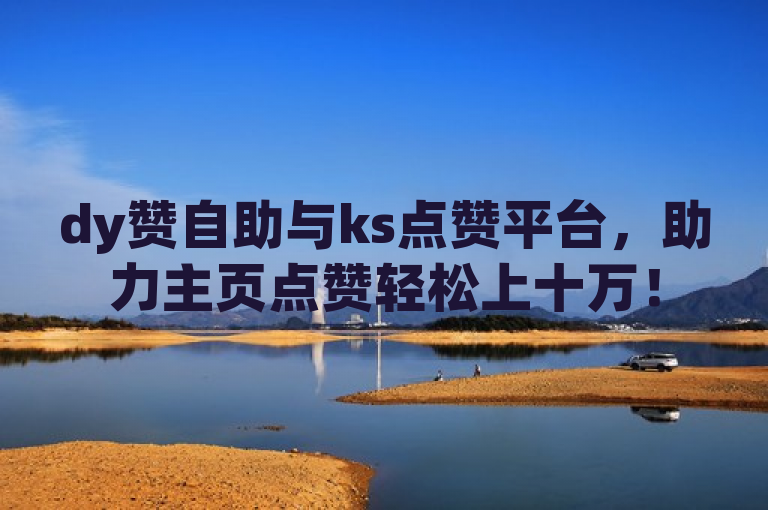 dy赞自助与ks点赞平台，助力主页点赞轻松上十万！