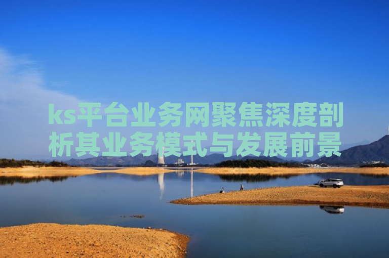ks平台业务网聚焦深度剖析其业务模式与发展前景。