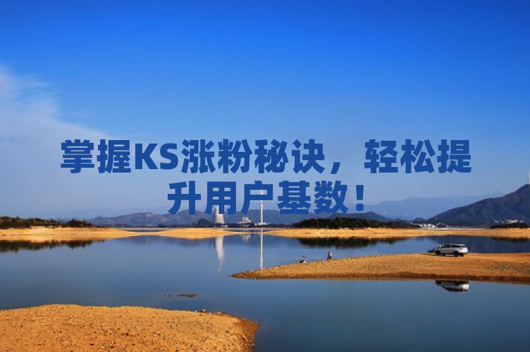 掌握KS涨粉秘诀，轻松提升用户基数！