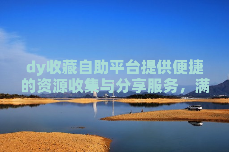 dy收藏自助平台提供便捷的资源收集与分享服务，满足用户多样化需求。