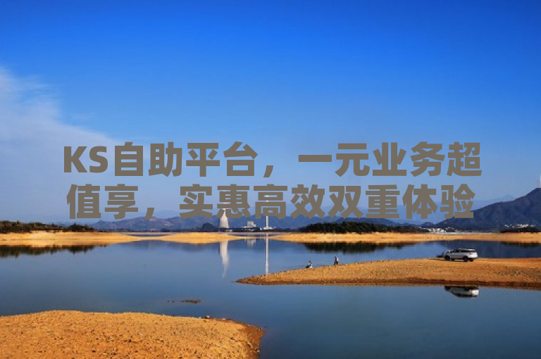 KS自助平台，一元业务超值享，实惠高效双重体验！