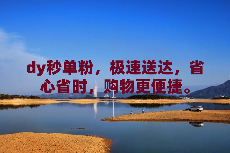 dy秒单粉，极速送达，省心省时，购物更便捷。