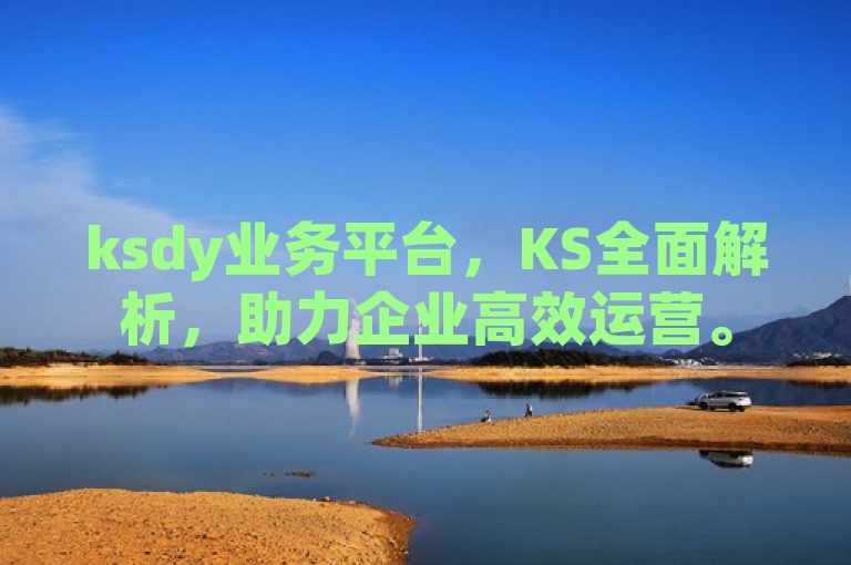 ksdy业务平台，KS全面解析，助力企业高效运营。