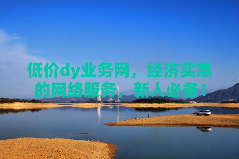 低价dy业务网，经济实惠的网络服务，新人必备！