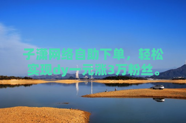 子潇网络自助下单，轻松实现dy一元涨3万粉丝。