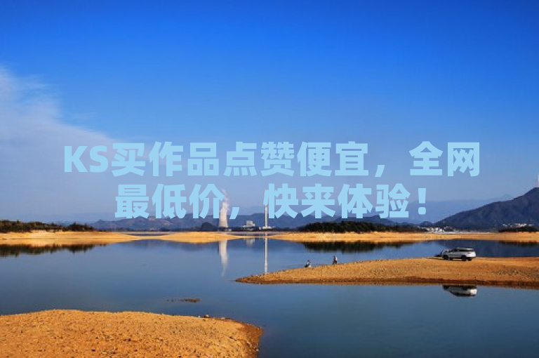 KS买作品点赞便宜，全网最低价，快来体验！