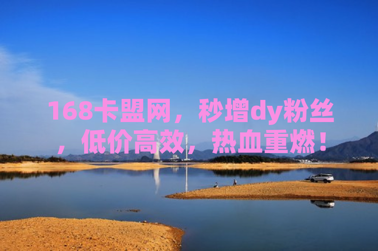 168卡盟网，秒增dy粉丝，低价高效，热血重燃！
