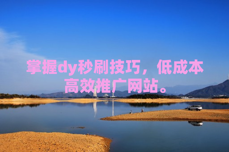 掌握dy秒刷技巧，低成本高效推广网站。