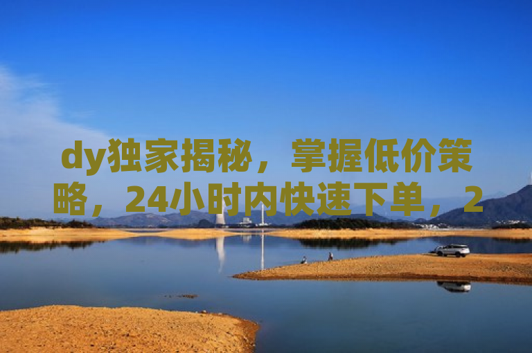 dy独家揭秘，掌握低价策略，24小时内快速下单，2025必备技巧！