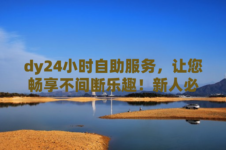 dy24小时自助服务，让您畅享不间断乐趣！新人必备！