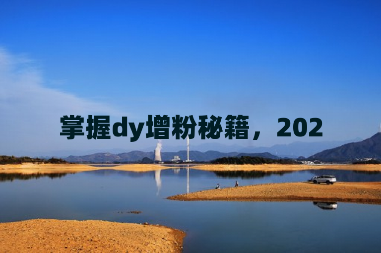 掌握dy增粉秘籍，2025年轻松提升粉丝量！