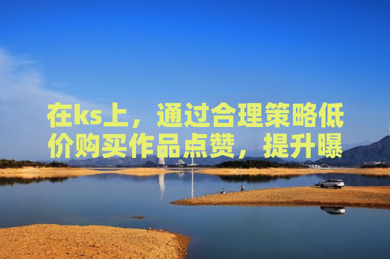 在ks上，通过合理策略低价购买作品点赞，提升曝光度。