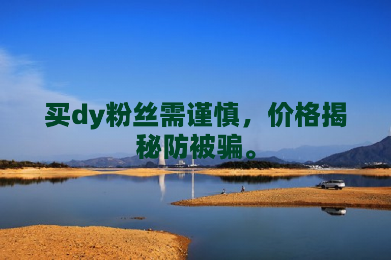 买dy粉丝需谨慎，价格揭秘防被骗。