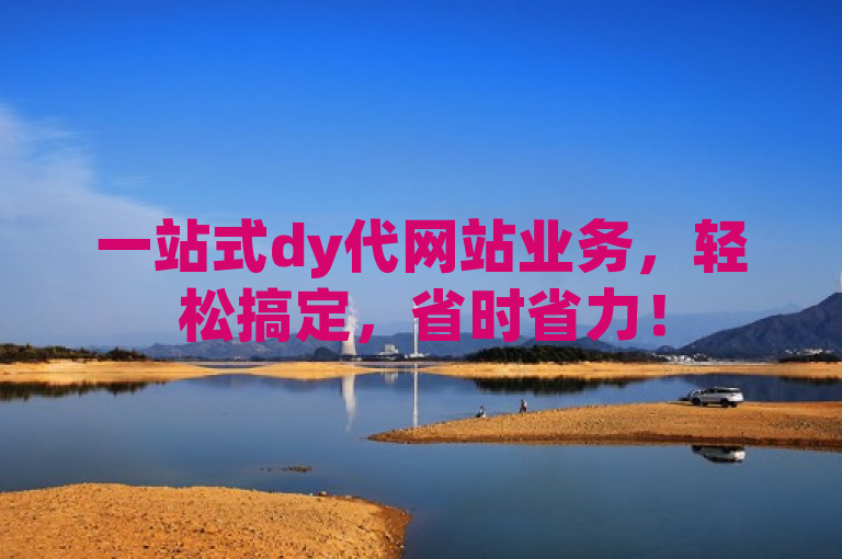 一站式dy代网站业务，轻松搞定，省时省力！