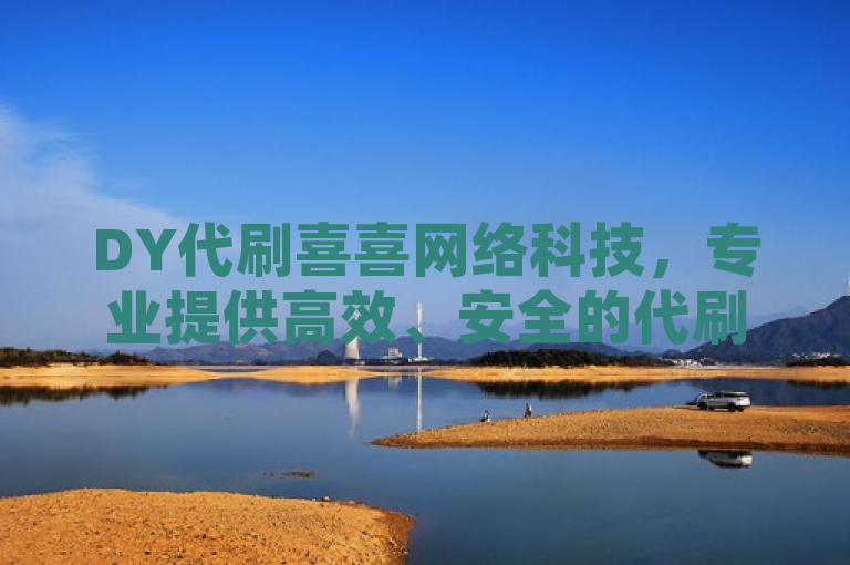 DY代刷喜喜网络科技，专业提供高效、安全的代刷服务。