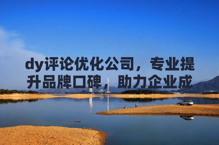 dy评论优化公司，专业提升品牌口碑，助力企业成功。