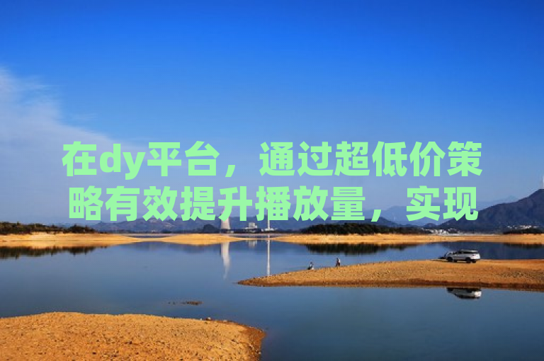 在dy平台，通过超低价策略有效提升播放量，实现内容快速曝光。