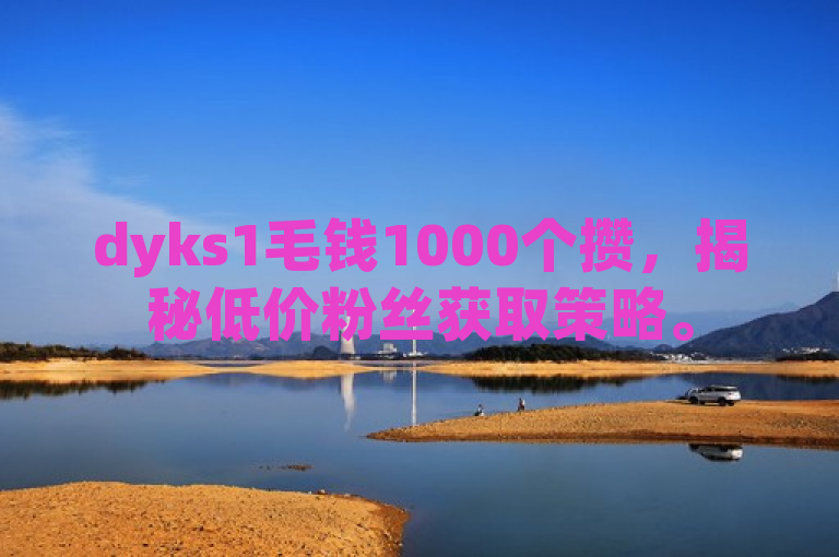 dyks1毛钱1000个攒，揭秘低价粉丝获取策略。